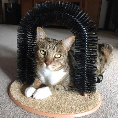 Cat Self-Groomer Arch Cat Beds KittyNook